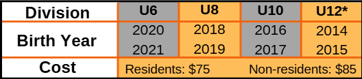 Birth Year Chart - 2026